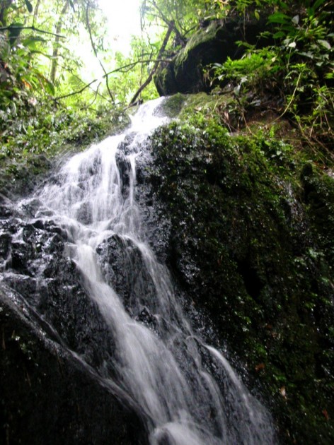 Cachoeira dos Colibris
